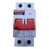 Havells Isolator Double Pole 40A